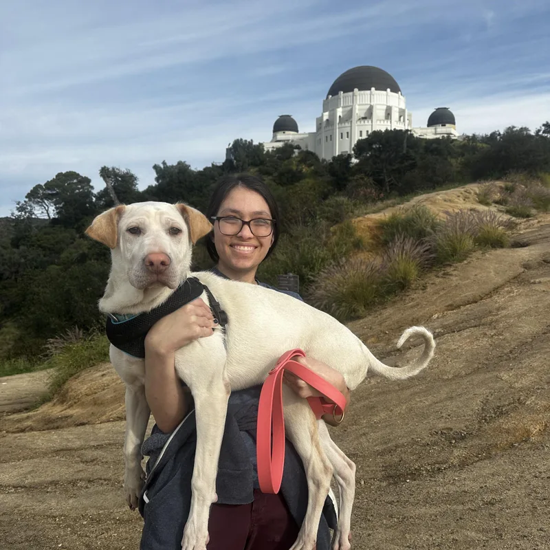 Cinderella thumbnail 2