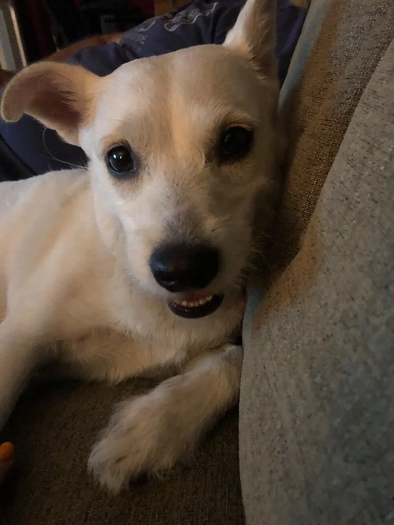 Stevie Nicks thumbnail 4