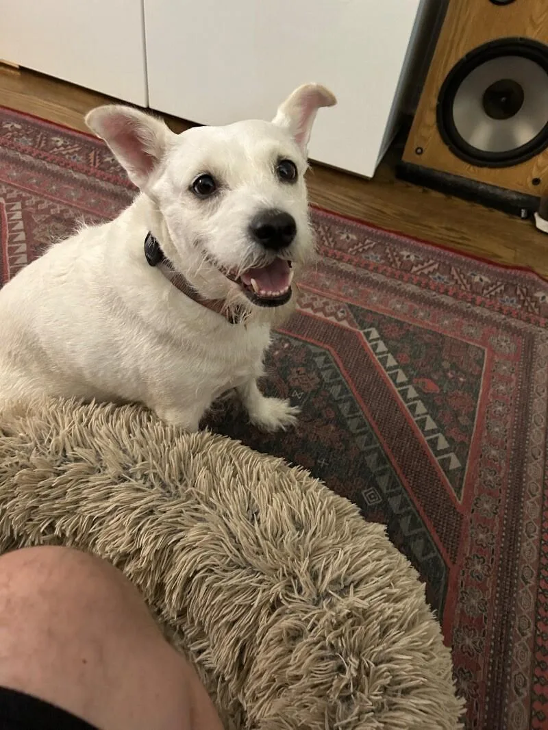 Stevie Nicks thumbnail 5