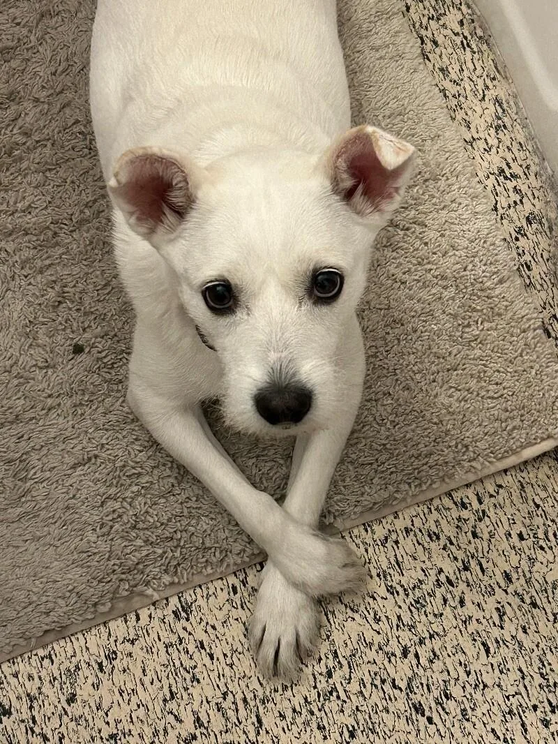 Stevie Nicks thumbnail 6