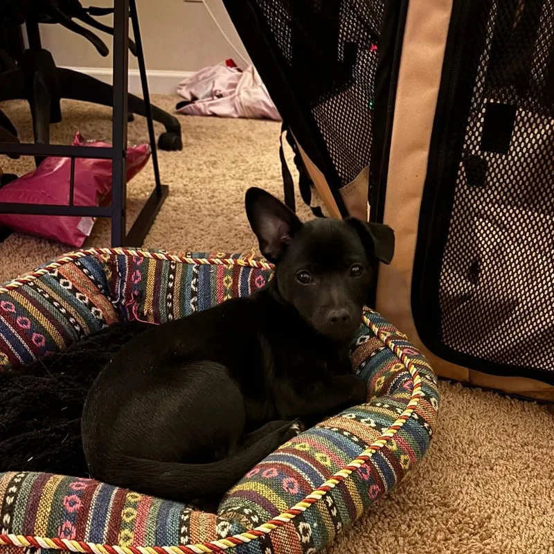 Flip Flop thumbnail 3