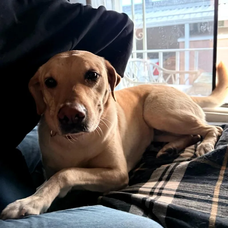 Charlotte thumbnail 2