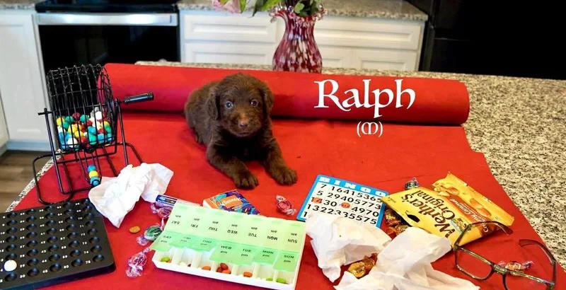 Ralph