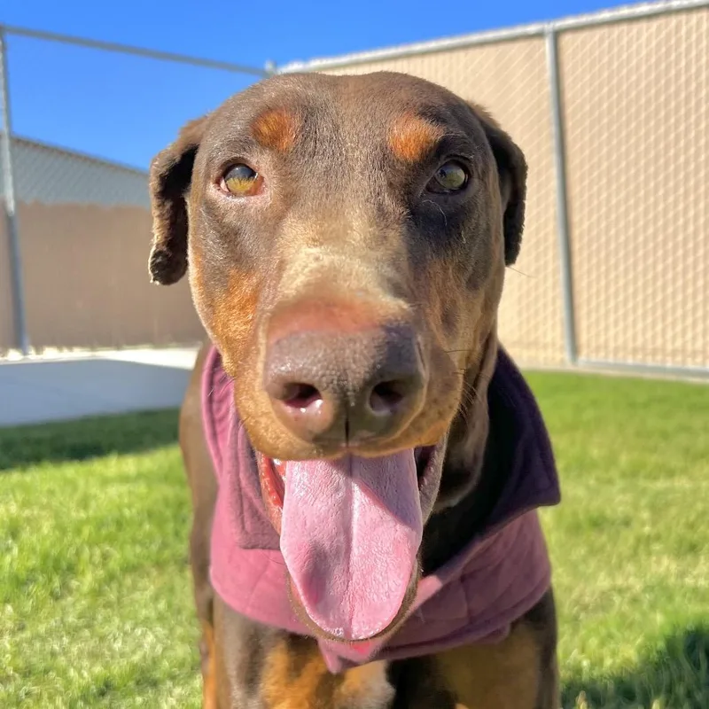 Baby Ruth thumbnail 2