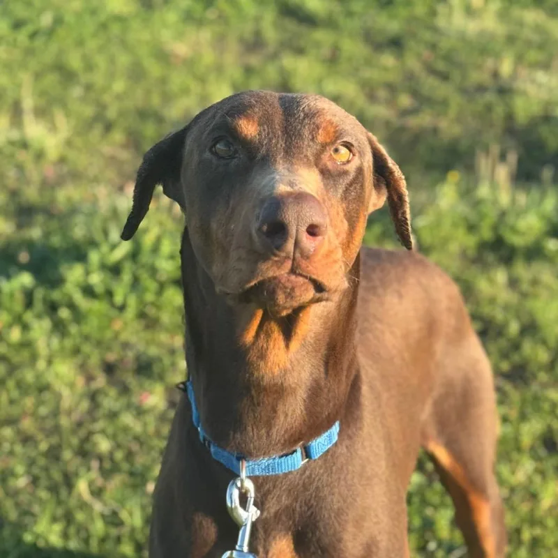 Baby Ruth thumbnail 3