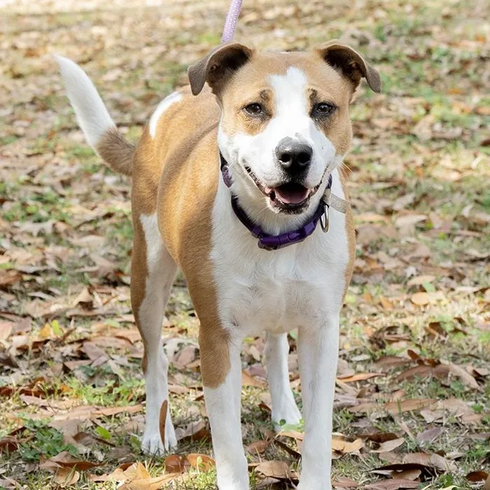 Heather Holloway thumbnail 2