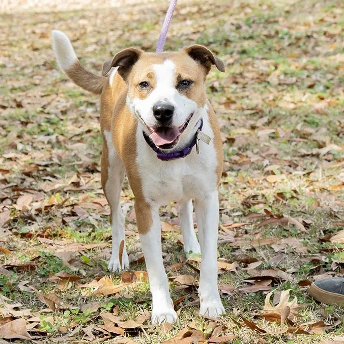 Heather Holloway thumbnail 3