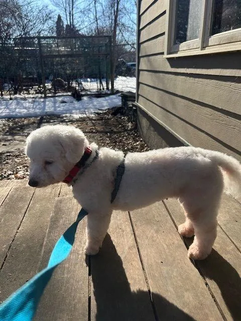 Lainey D thumbnail 2