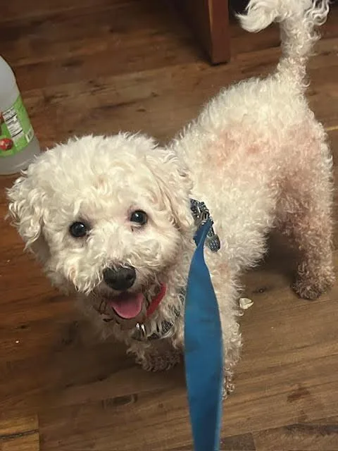 Lainey D thumbnail 3