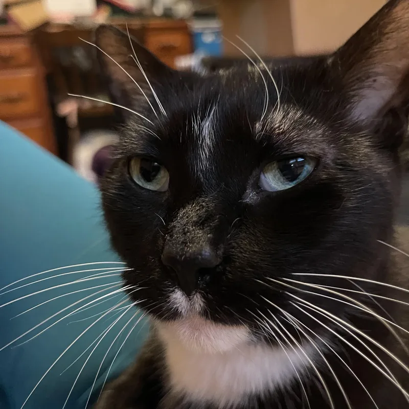 Hades & Pandora thumbnail 5