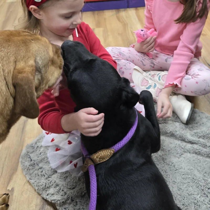 Lou Aka Lover thumbnail 2