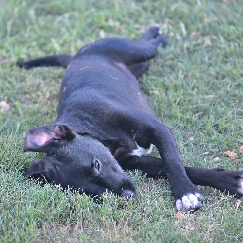 Lou Aka Lover thumbnail 3