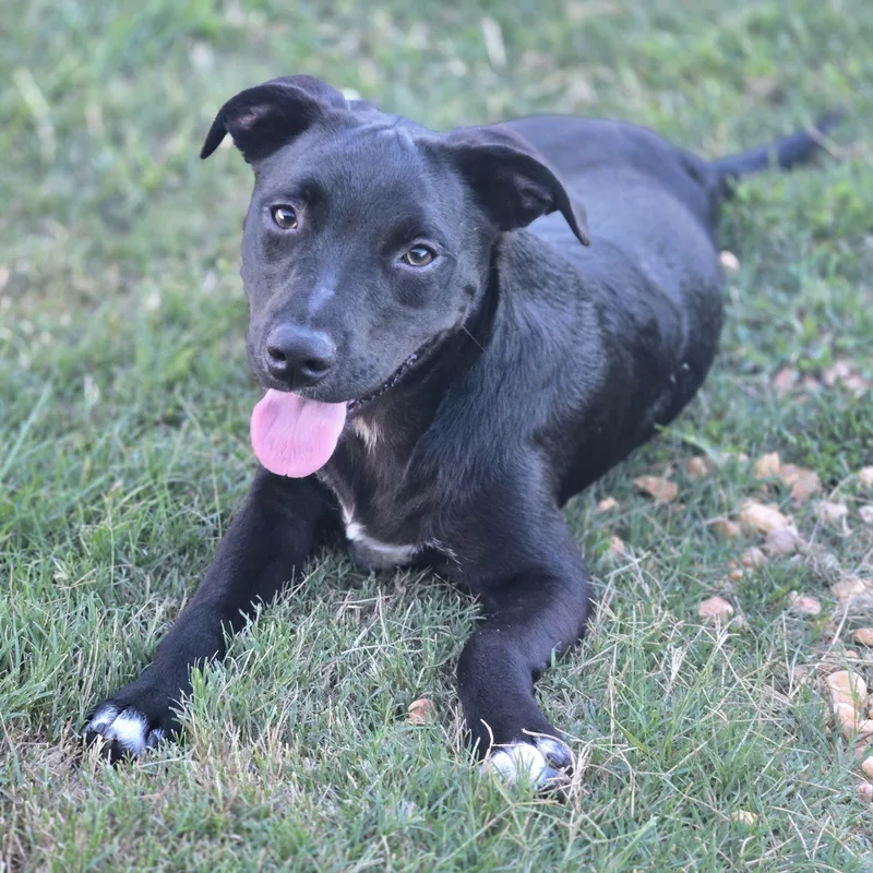 Lou Aka Lover thumbnail 4