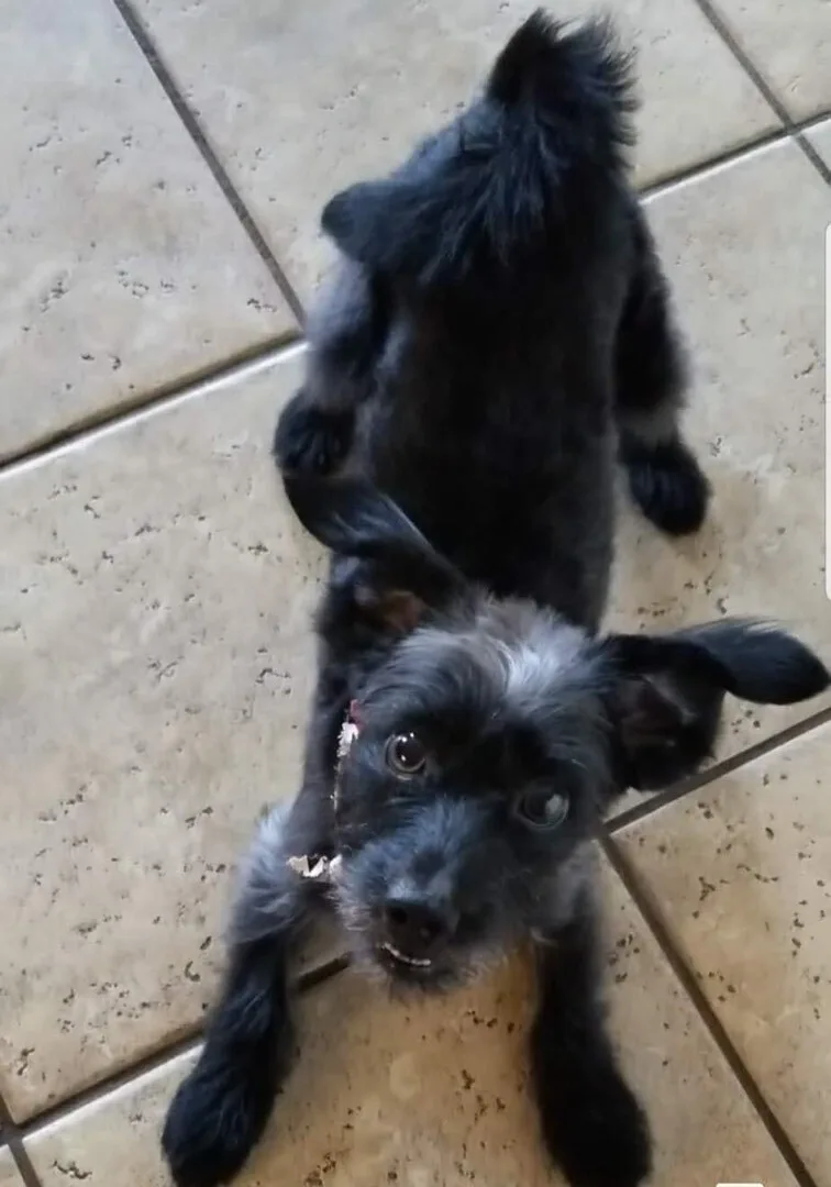 Cooper Aka Super Coop