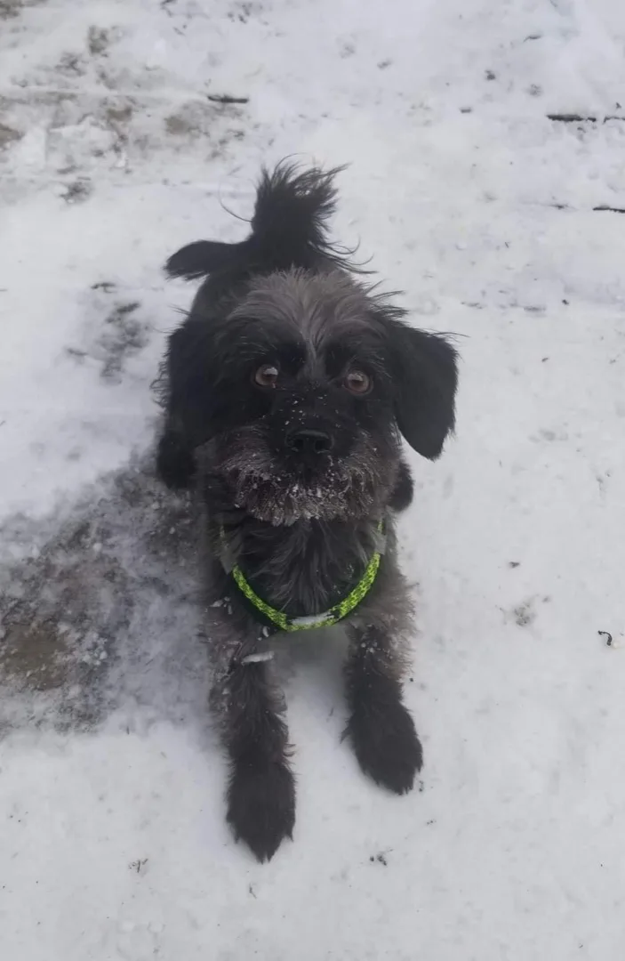 Cooper Aka Super Coop thumbnail 4