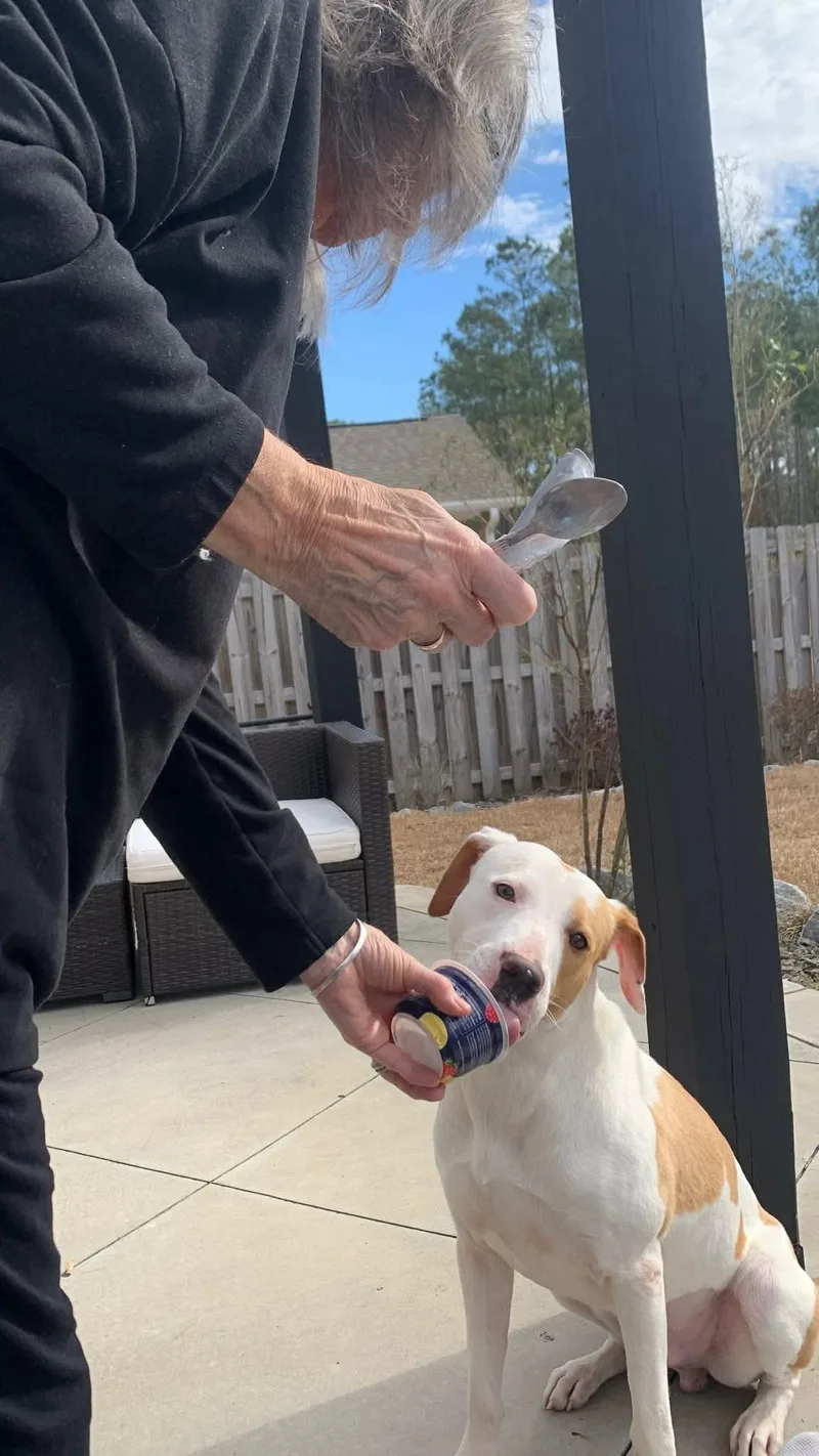 Peanut Butter thumbnail 2