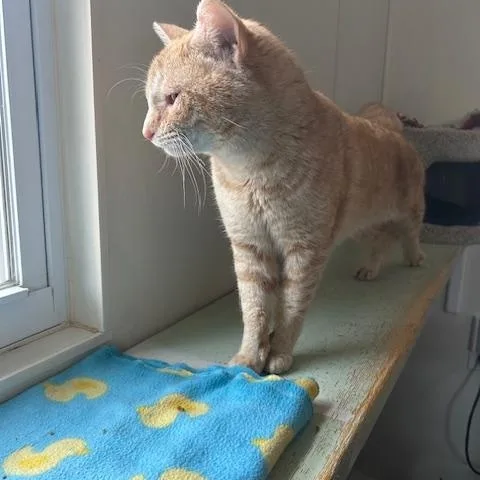 Frostbite thumbnail 2