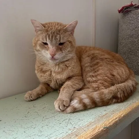 Frostbite thumbnail 3