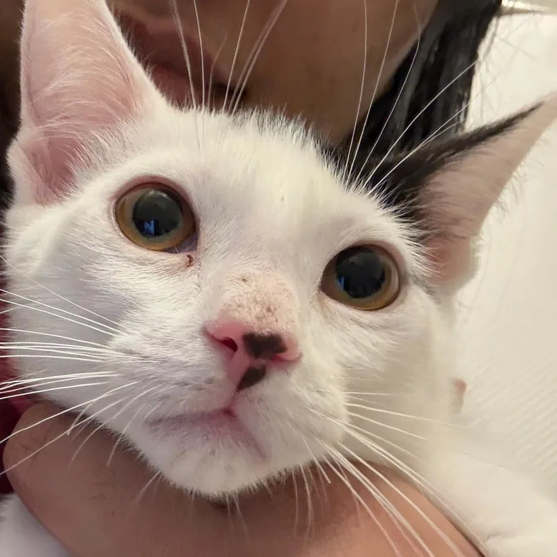 Luna And Samantha thumbnail 4