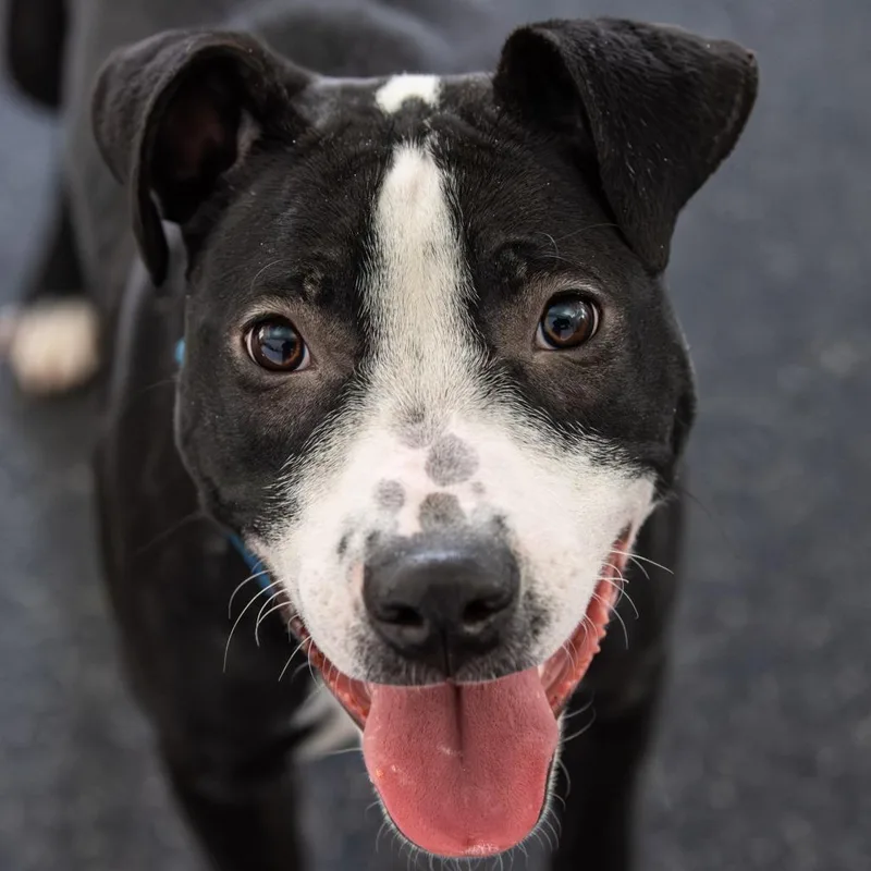 Glimmer Avail. By Appt. thumbnail 3