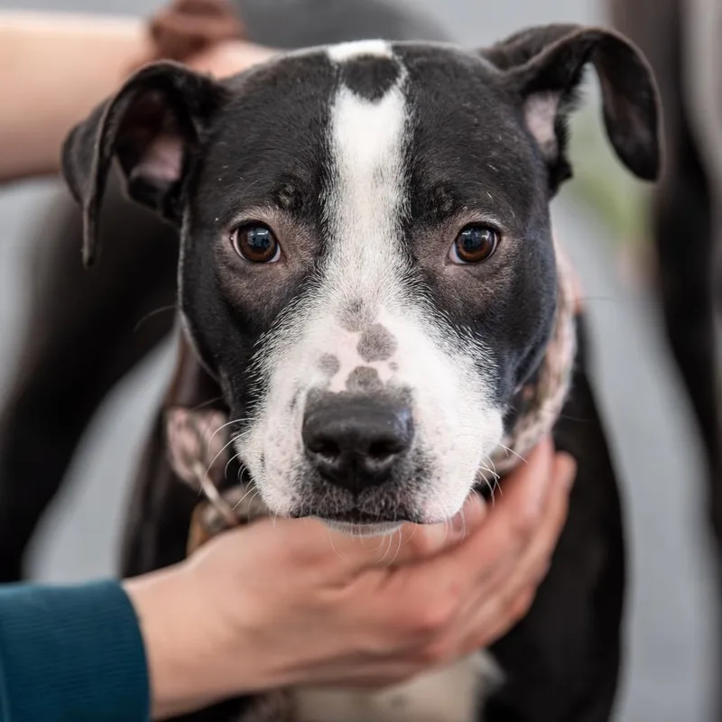 Glimmer Avail. By Appt. thumbnail 5