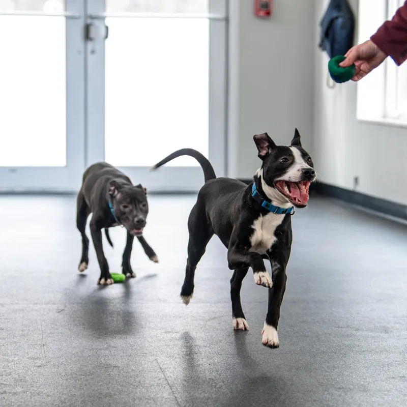 Glimmer Avail. By Appt. thumbnail 6