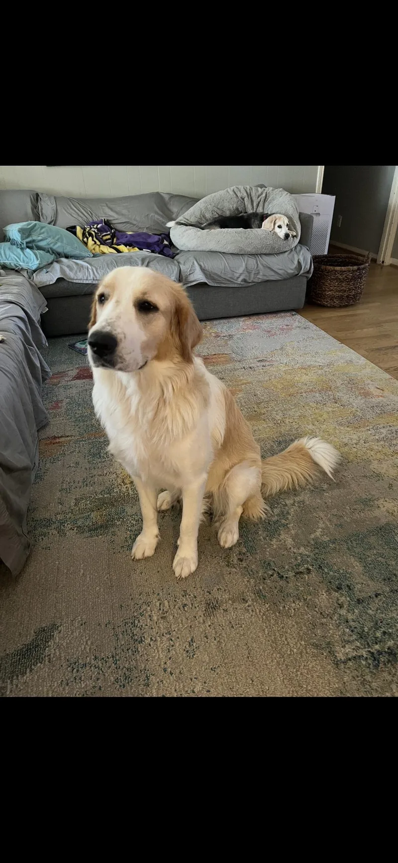 Raya Htx thumbnail 2