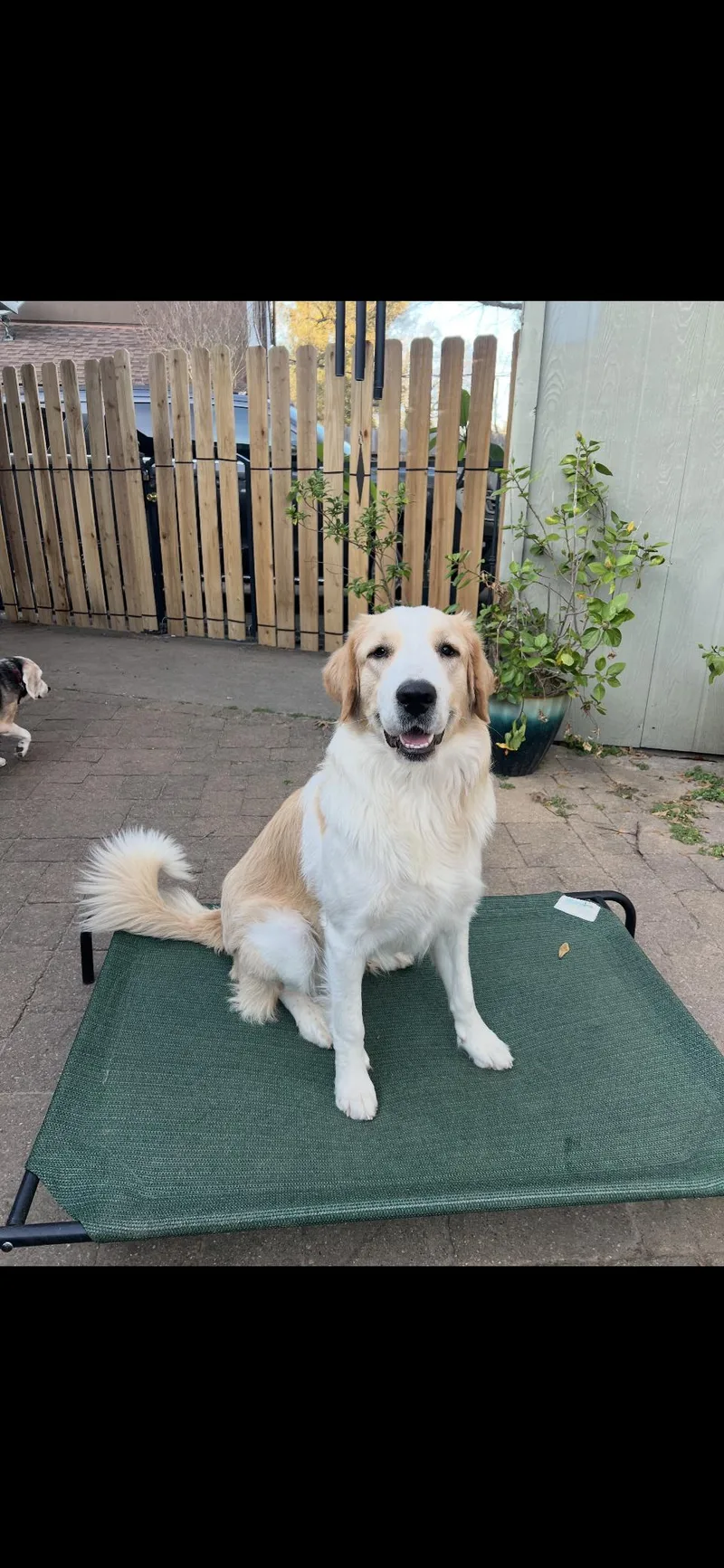 Raya Htx thumbnail 3