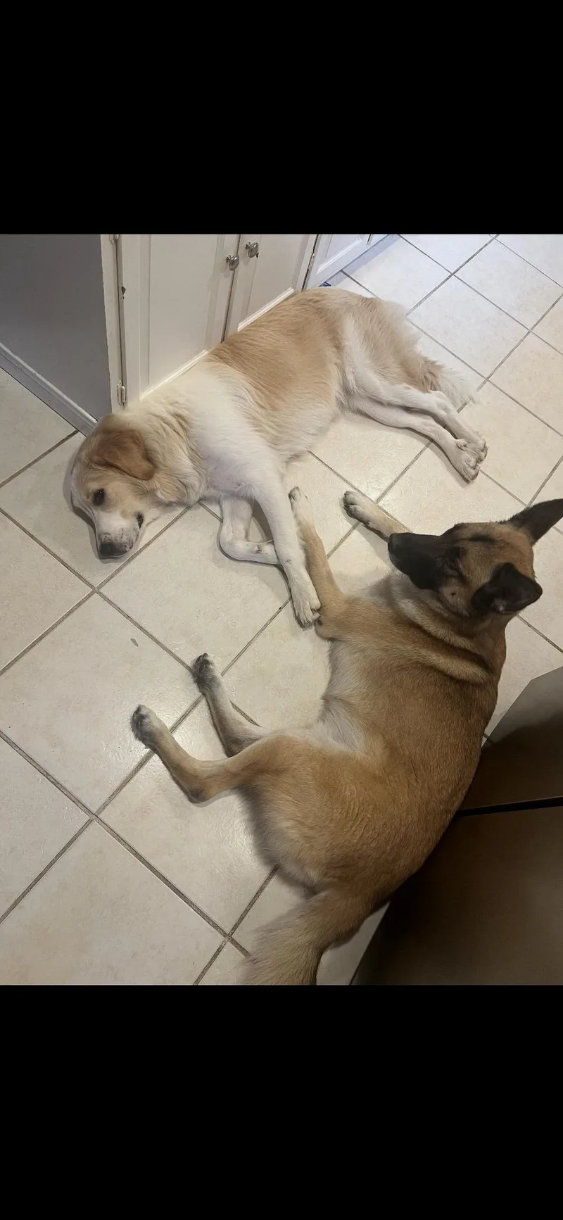 Raya Htx thumbnail 4