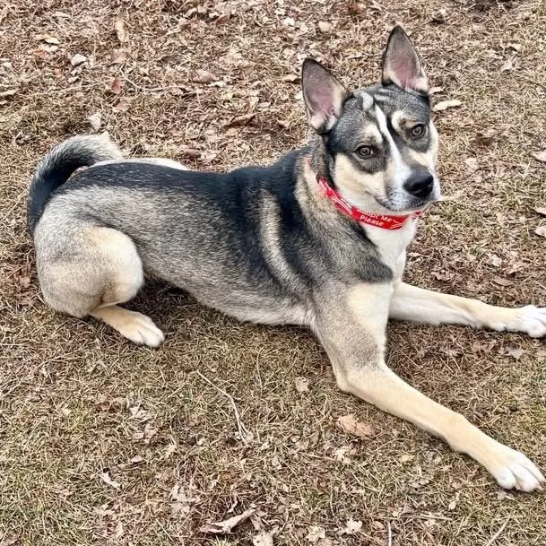 Gravy Baby thumbnail 2