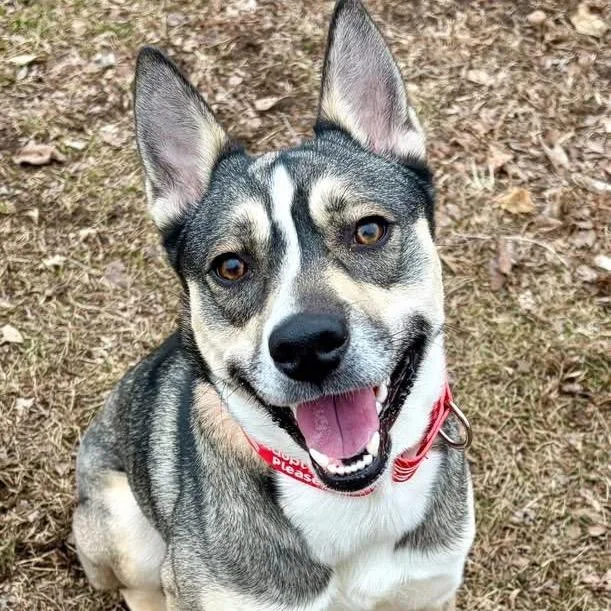 Gravy Baby thumbnail 4