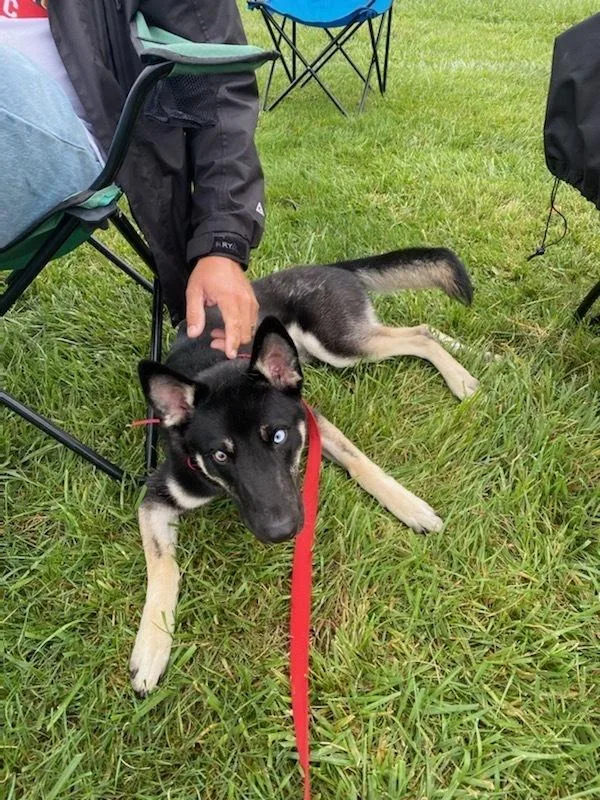 Cd:buddy Boy thumbnail 4