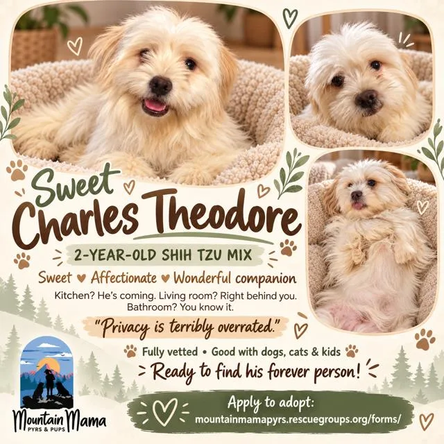 Charles Theodore thumbnail 3
