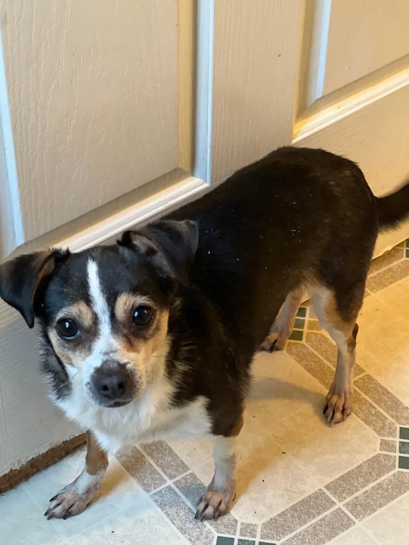 Sassy W Video thumbnail 2