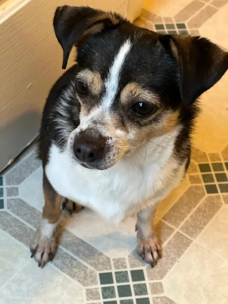 Sassy W Video thumbnail 3