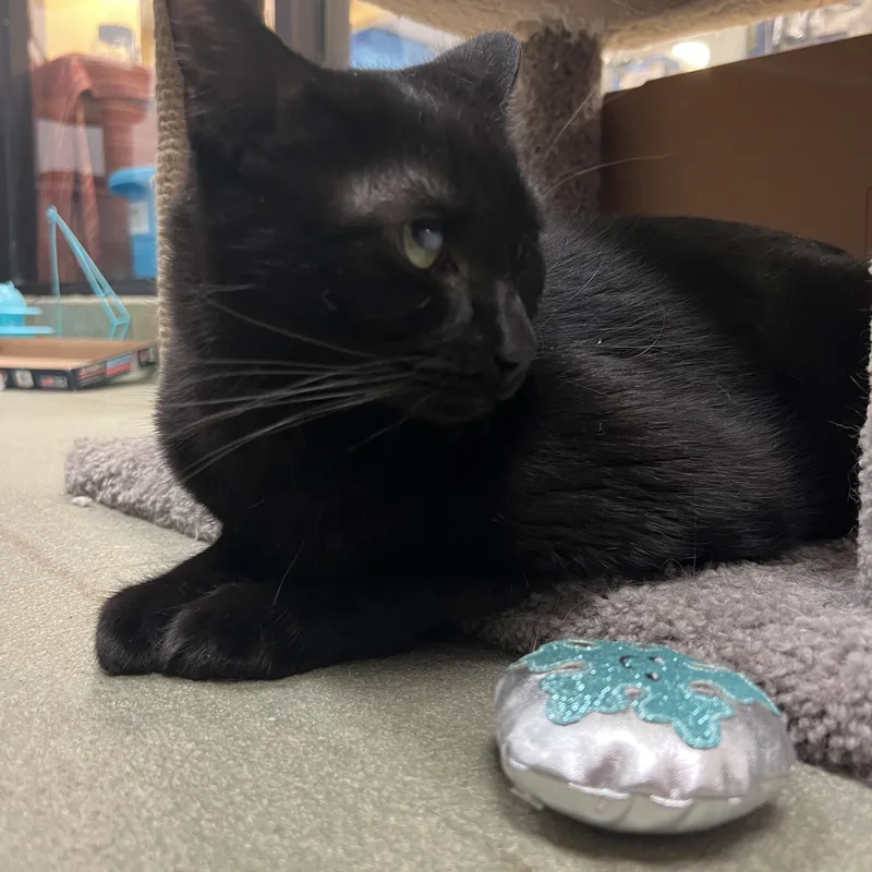 Pluto thumbnail 3