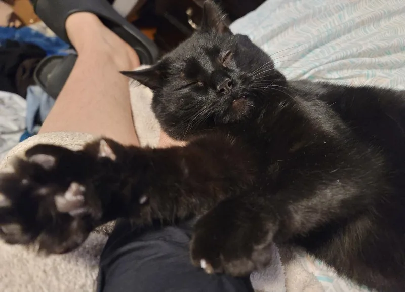 Benny Bubbles thumbnail 2