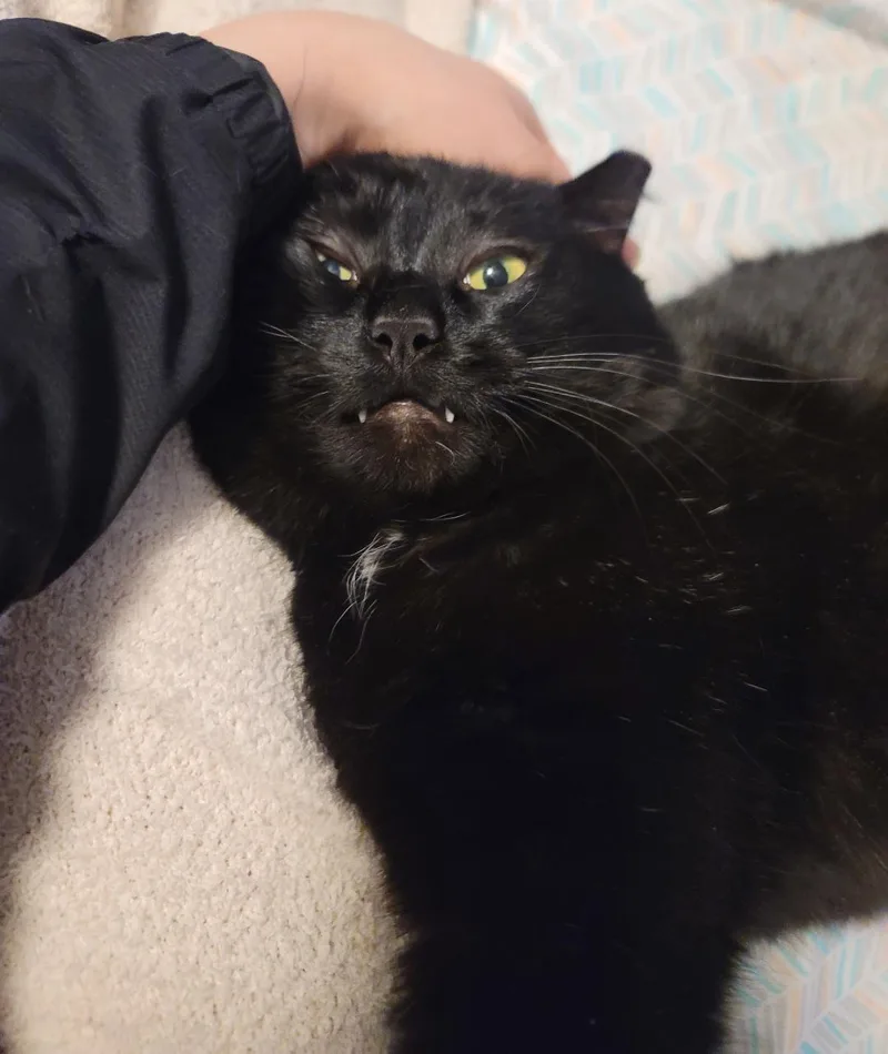 Benny Bubbles thumbnail 3