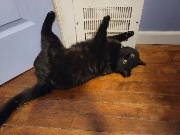 Benny Bubbles thumbnail 5