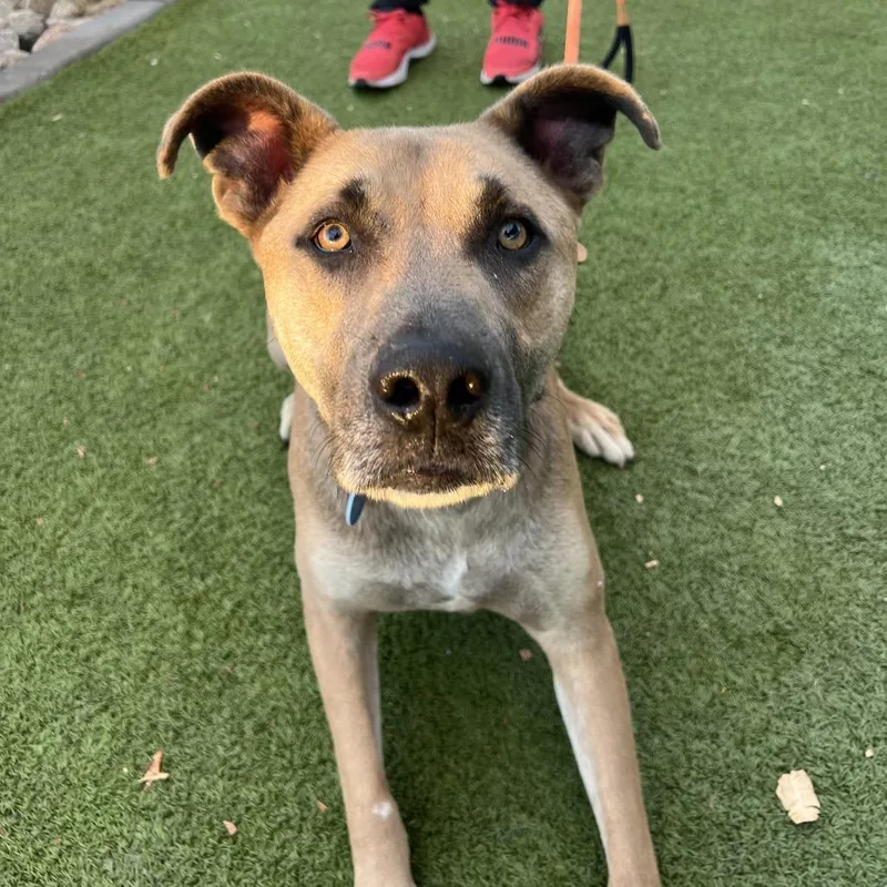 Spicy Tuna thumbnail 3