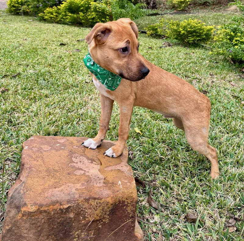 Gabe  Sweet Boy! thumbnail 3