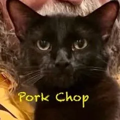 Pork Chop thumbnail 2