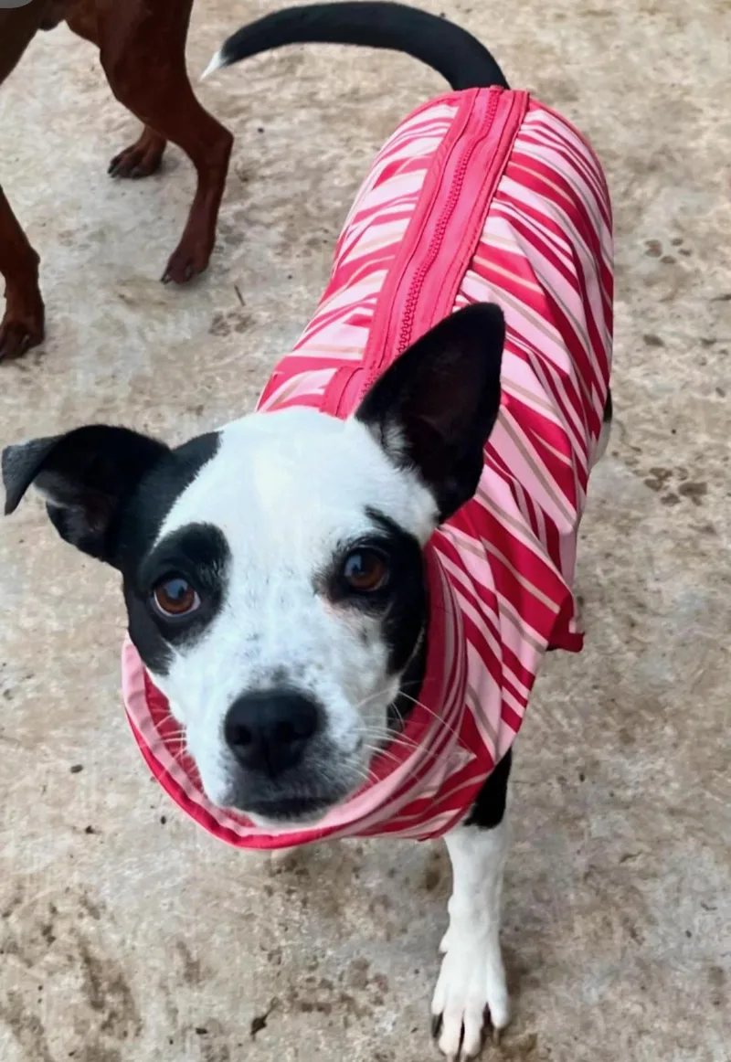 Sparkles thumbnail 2