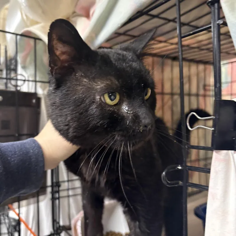 Bruce Wayne thumbnail 2