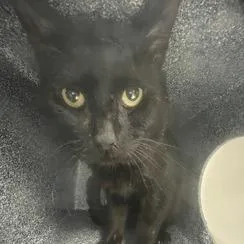 Bruce Wayne thumbnail 3