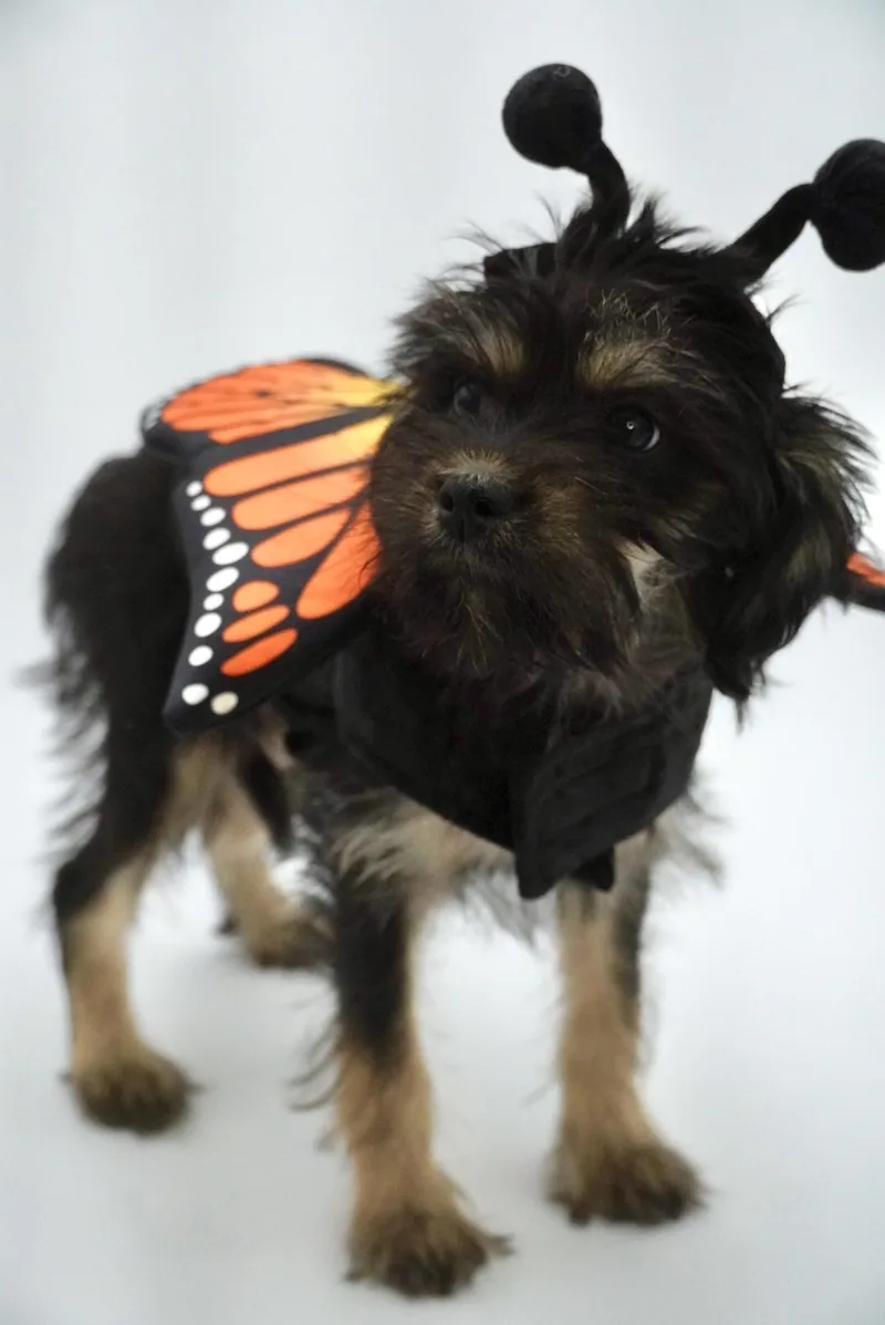 Lil Bit Bonded To thumbnail 3