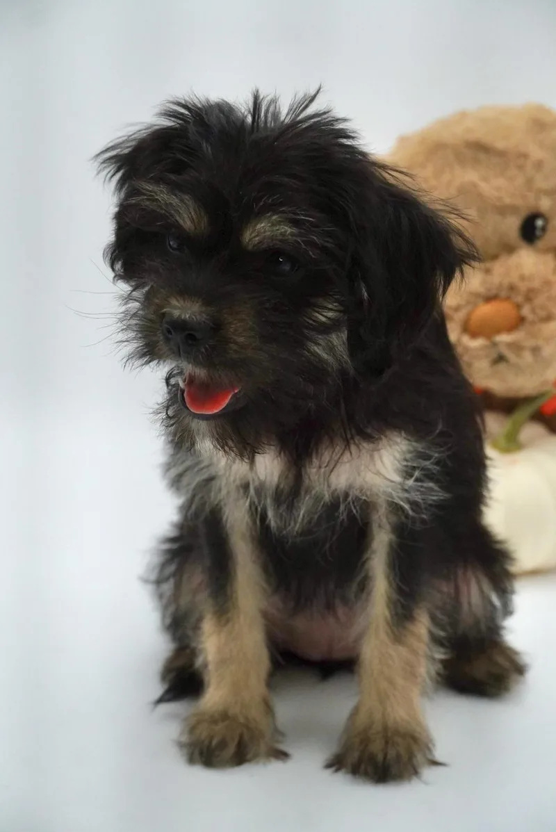 Lil Bit Bonded To thumbnail 4