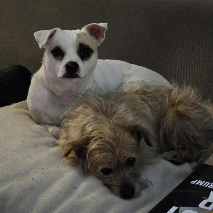 Lil Bit Bonded To thumbnail 5