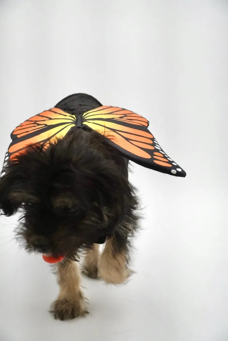 Lil Bit Bonded To thumbnail 6