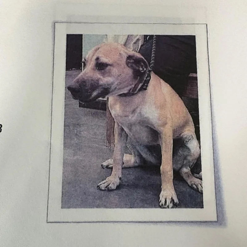 Besty Ross thumbnail 2